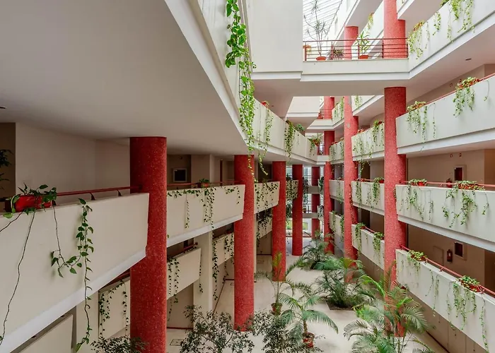 Yellow Breeze 维亚纳堡