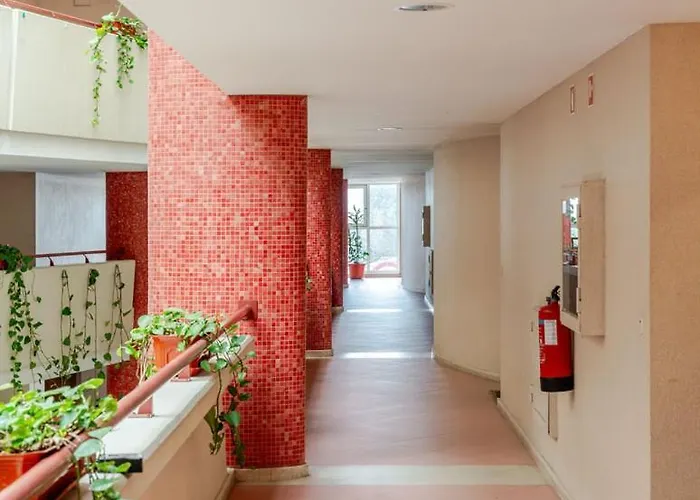 Yellow Breeze * 维亚纳堡