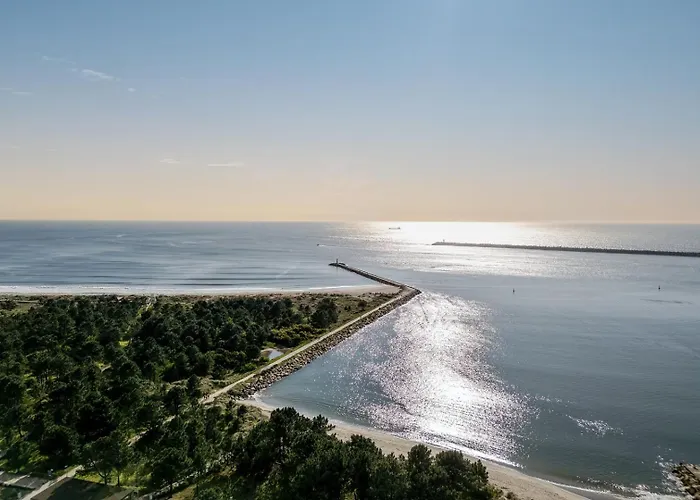 Yellow Breeze 公寓