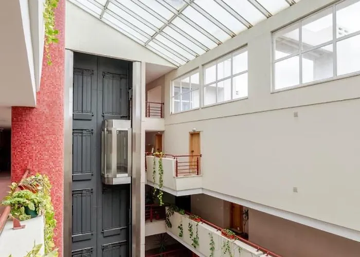 Yellow Breeze 维亚纳堡