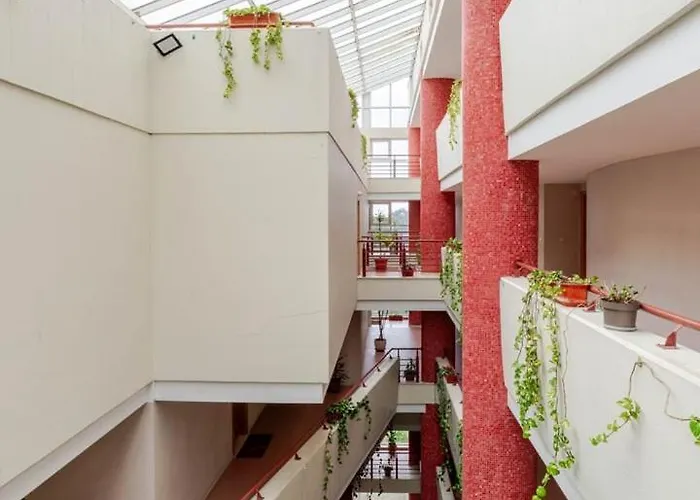 Yellow Breeze * 维亚纳堡