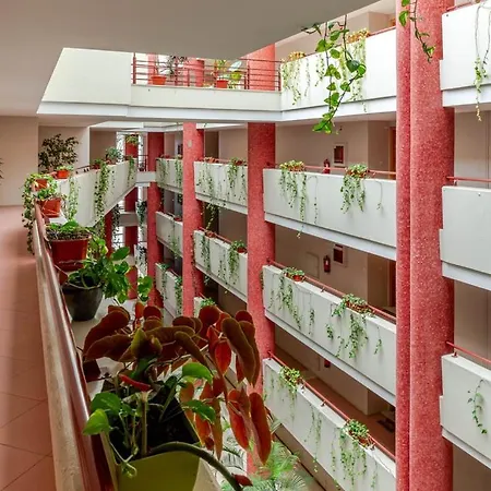 Yellow Breeze Apartament *