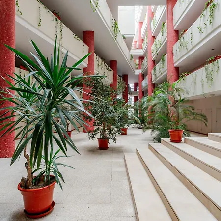 Apartament Yellow Breeze Viana do Castelo