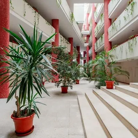 Yellow Breeze Apartamento Viana do Castelo