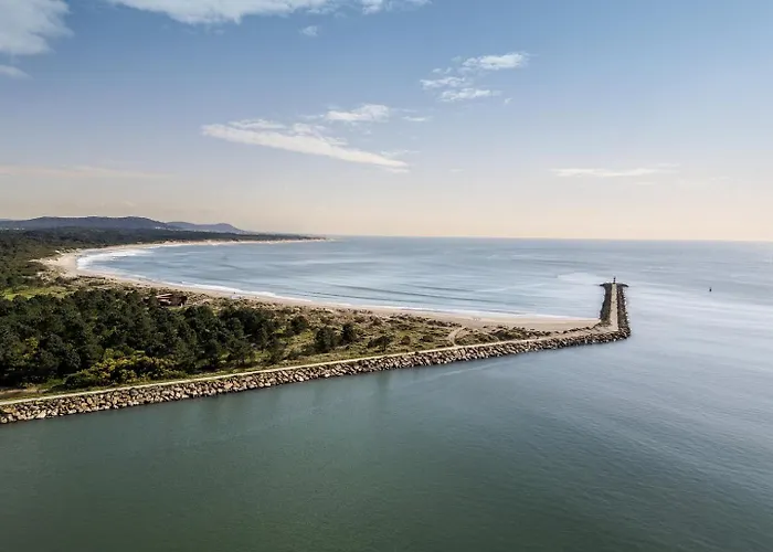Yellow Breeze * Viana do Castelo