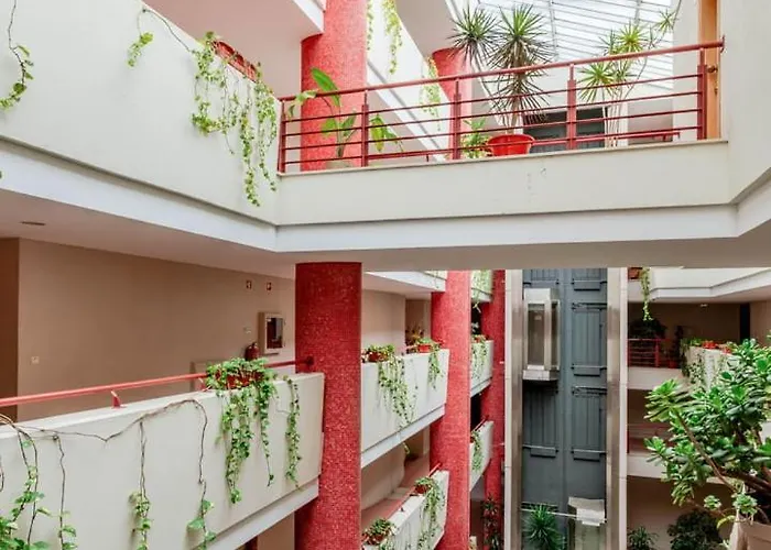 Yellow Breeze * Viana do Castelo